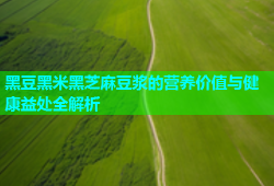 黑豆黑米黑芝麻豆浆的营养价值与健康益处全解析