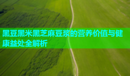 黑豆黑米黑芝麻豆浆的营养价值与健康益处全解析