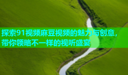 探索91视频麻豆视频的魅力与创意，带你领略不一样的视听盛宴