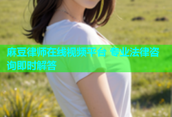麻豆律师在线视频平台 专业法律咨询即时解答