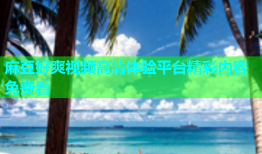 麻豆好爽视频高清体验平台精彩内容免费看