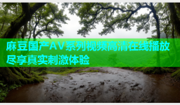 麻豆国产AV系列视频高清在线播放尽享真实刺激体验