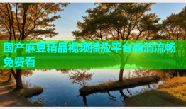 国产麻豆精品视频播放平台高清流畅免费看