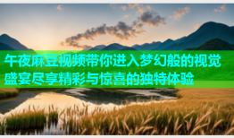 午夜麻豆视频带你进入梦幻般的视觉盛宴尽享精彩与惊喜的独特体验