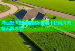 麻豆好爽好舒服视频精选平台高清流畅无限观看