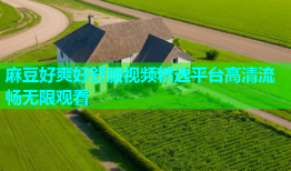 麻豆好爽好舒服视频精选平台高清流畅无限观看
