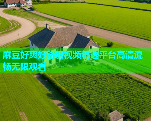 麻豆好爽好舒服视频精选平台高清流畅无限观看