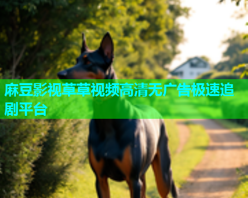 麻豆影视草草视频高清无广告极速追剧平台